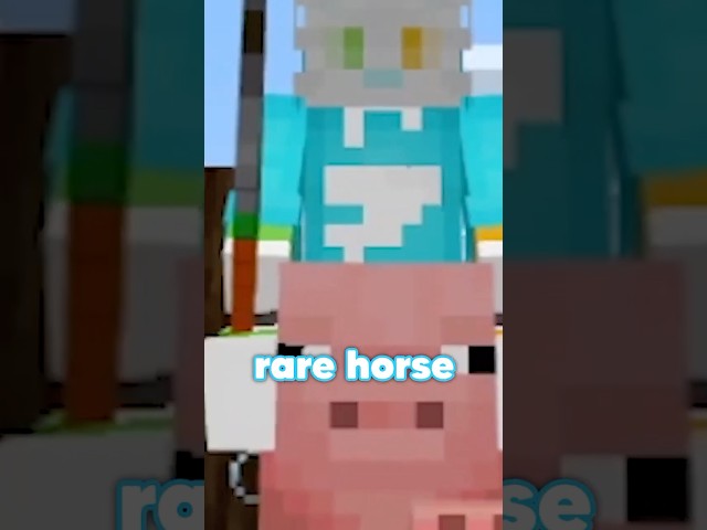 I Glitched My Horse To Run 60,000 Blocks/Hour