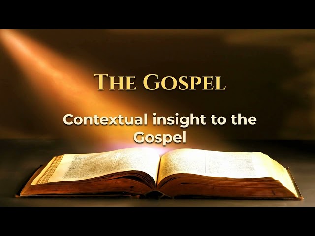 Daily Mass Readings and Reflections September 16, 2026