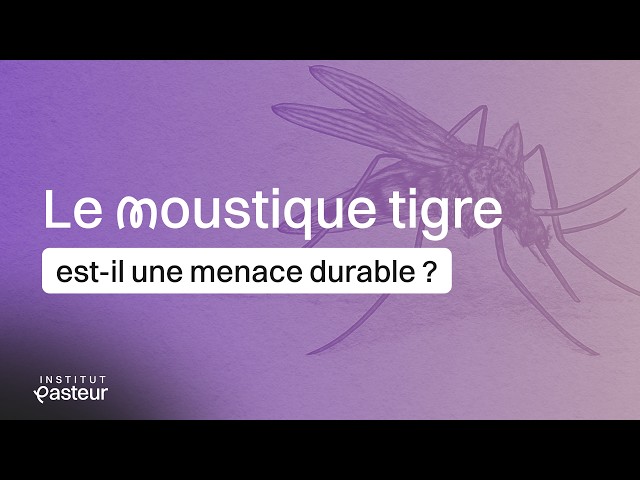 Why we have to learn to live with the Asian tiger mosquito | Invisible threats 🦠
