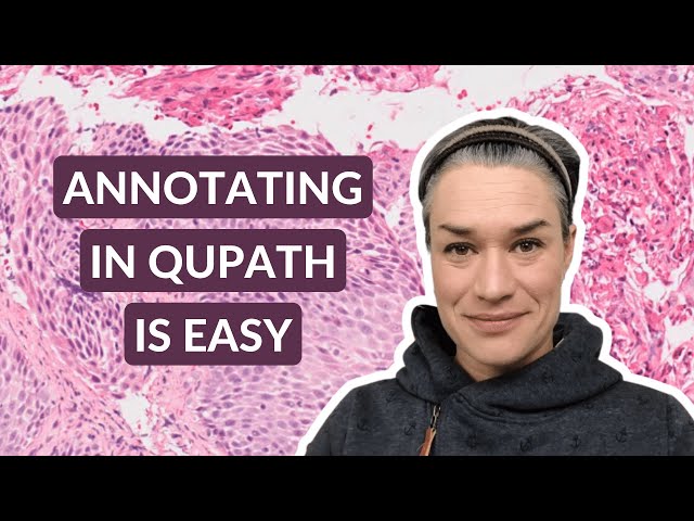 Pathology Image Annotations | QuPath annotation tutorial