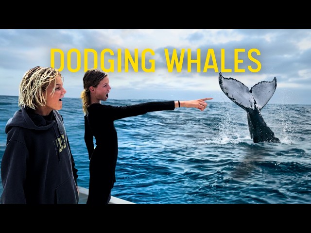 We Had to Dodge Whales All the Way to Langebaan | S5 E31