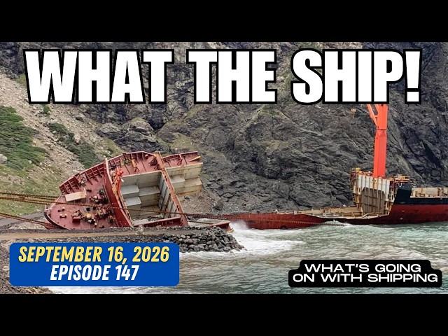 What the Ship | Sector Analysis: Containers, Tankers, Bulk & Car Carriers | SLNC York & Starship 40