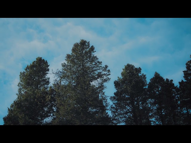 Vibe Chemistry - Blue Sky