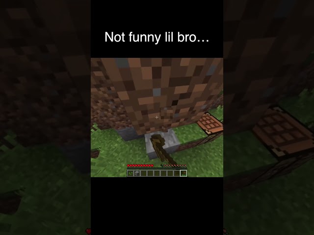 Had me dying laughing XDDDD #minecraft #gaming #minecrafthorror #minecraftmemes