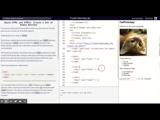 Learn Basic HTML and HTML5: Create a Set of Radio Buttons | freeCodeCamp.org 22