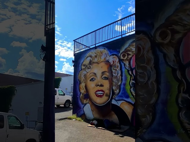 Giant Downtown Mural in Kamloops 🇨🇦 #kamloops #britishcolumbia #explorecanada