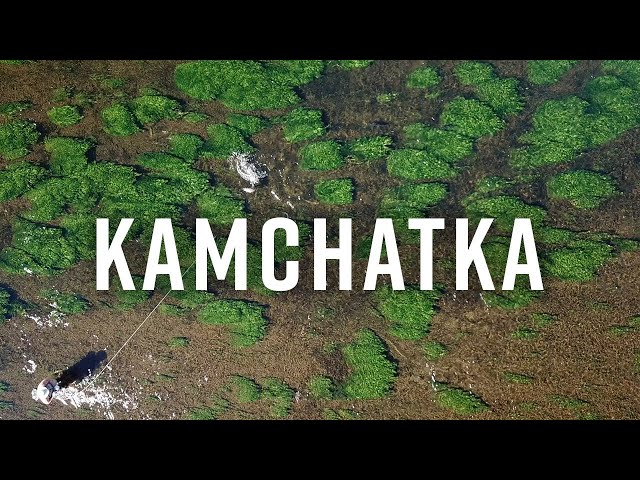 Kamchatka Spring Creek Rainbow Trout with The Best of Kamchatka