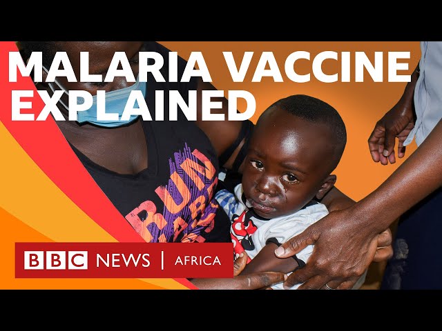 Malaria Vaccine: Three things to know - BBC What's New #shorts