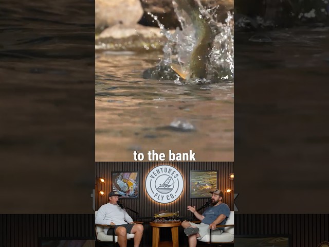 Fly Fishing Hoppers: Get Tighter Than You Think