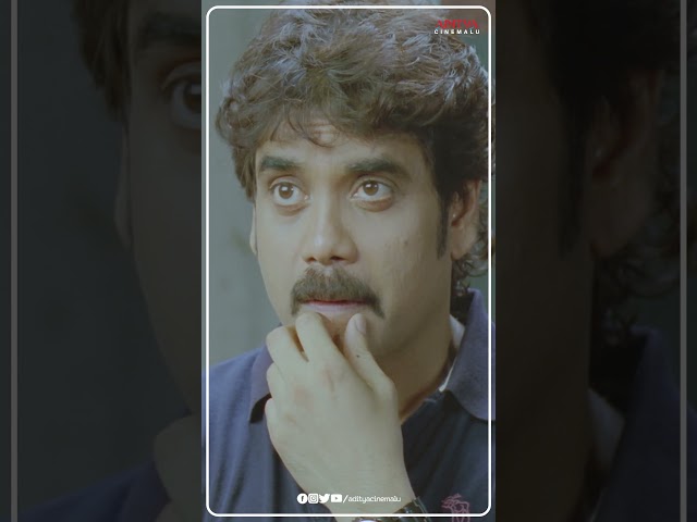 #Nagarjuna New Movie #Shorts | #MamtaMohandas #Kedi #Shorts #Viral #Comedy #Reels #AdityaCinemalu