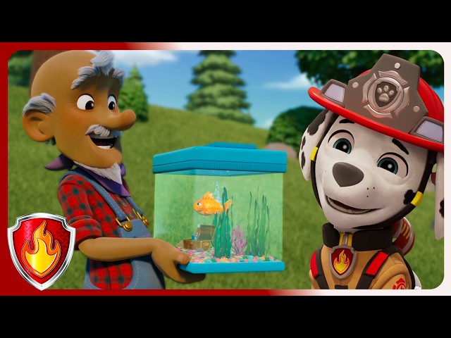 Goldfish Mission | Marshall PAW Patrol  | Cartoons For Kids