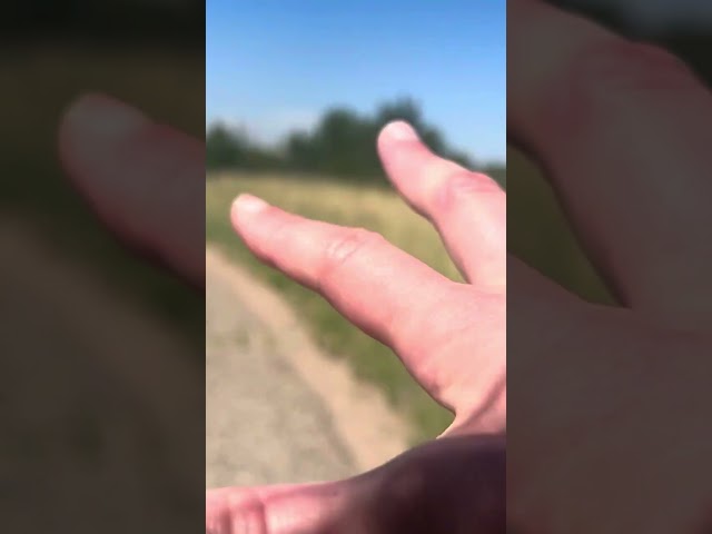 Hike In Colorado With Me