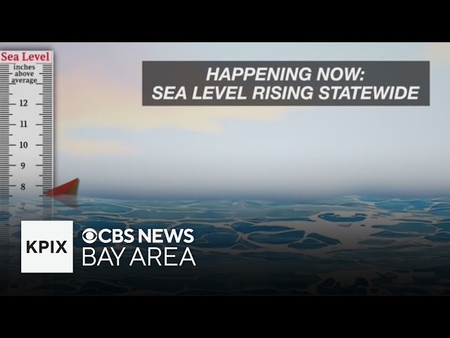 Climate researchers explain how a Kelvin Wave impacts ocean waters