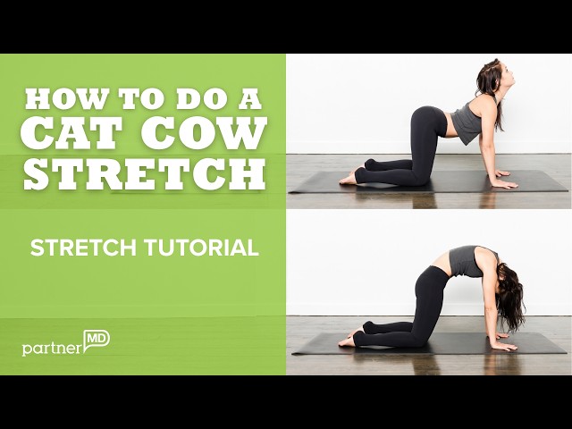 How To Do The Cat Cow Stretch | Exercise with PartnerMD