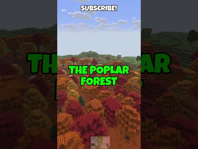 NEW UPDATE COMING SOON! #minecraft #minecraftbedrock #mcpe