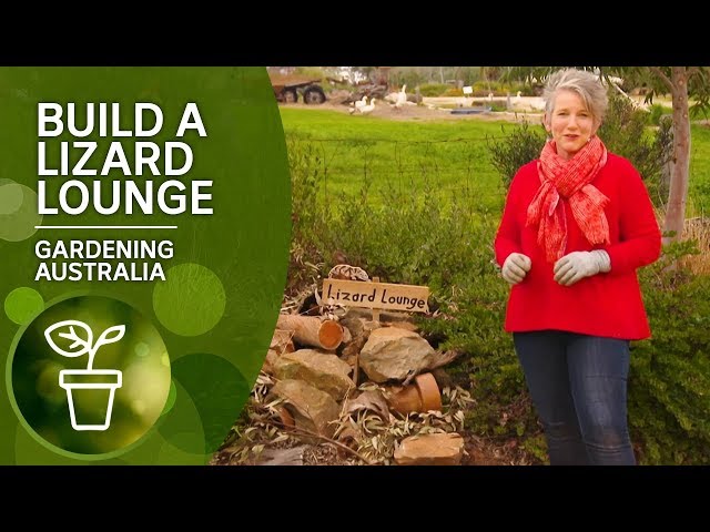 How to build a lizard lounge