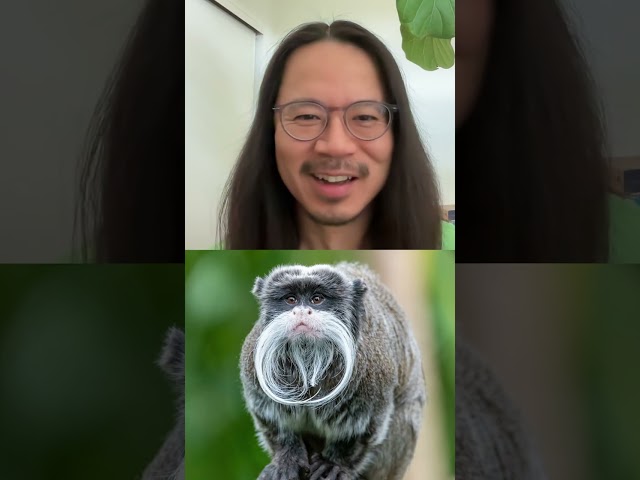 Named after someone... but not Wilford Brimley! #naturepbs #wildlife #animals #monkey #stem