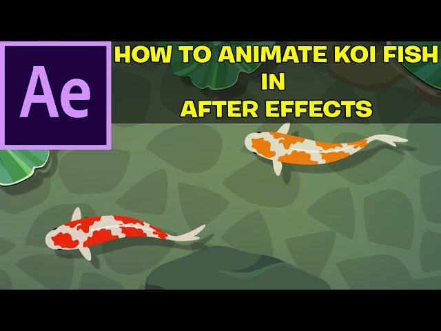 How To Animate Koi Fish | Adobe After Effects Tutorials