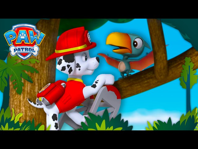 The PAW Patrol Saves a Baby Pterodactyl! 🥹 | PAW Patrol Dino Rescues 🦖
