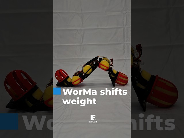 Meet WorMa: The worm-like robot shifts its own weight