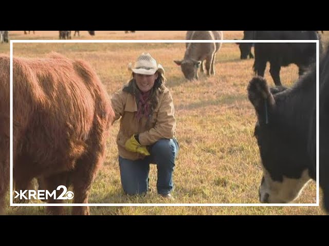 KREM 2 Investigation: Apex predators in Washington