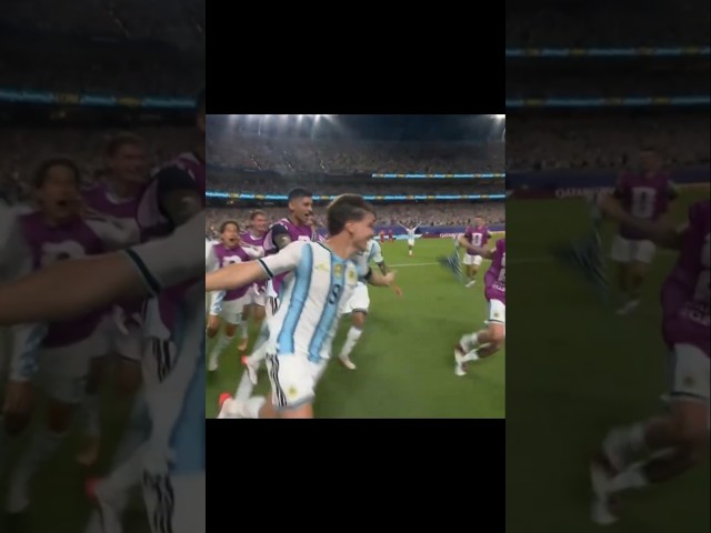 world champion quality 🇦🇷 | # #worldcup2026 #worldcup #argentina #messi #julianalvarez #lionelmessi