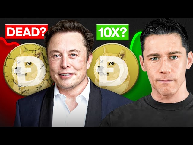 What is Dogecoin - Full Project Review for 2025 (SHOULD YOU BUY DOGE?)