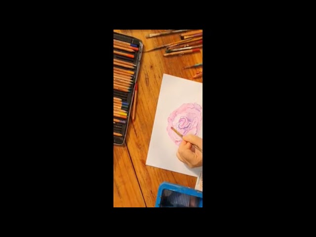 How to paint a rose in watercolour Cathy Bauthier