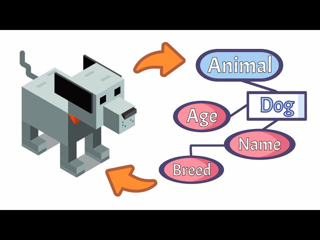 OOP Basics: Learn Object-Oriented Programming