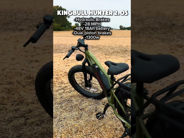 Kingbull Hunter 2.0 is Insaine #ebike #surron #ridstar #mtb #dirtbike