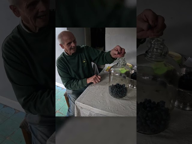 THIS is his secret recipe!🤯 #shorts #homebrew #gin #farming #funny
