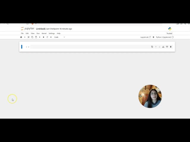 Video explicación breve de curso Básico de programa Python