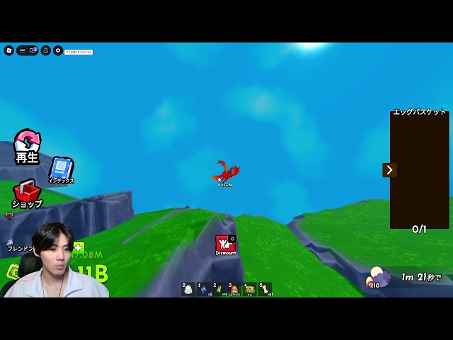 ride a pet! 　Roblox