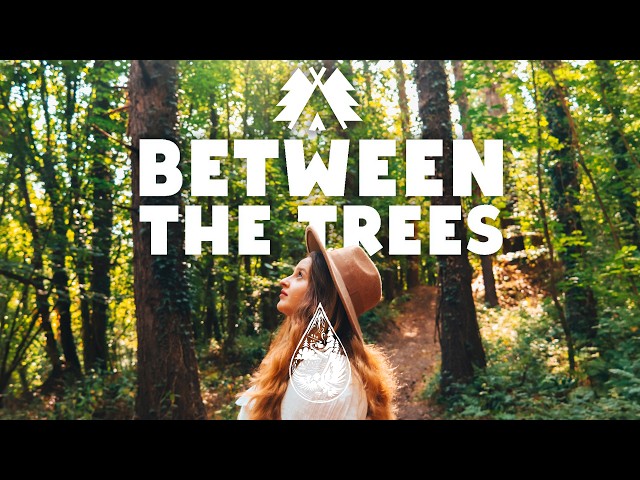 🌳 Between The Trees 2026 🌳 • An Indie/Folk/Acoustic Playlist