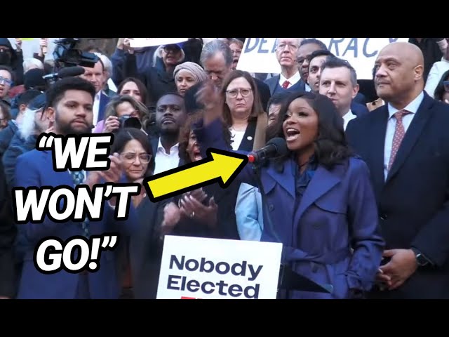 Jasmine Crockett SLAMS Elon Musk and Donald Trump During Speech