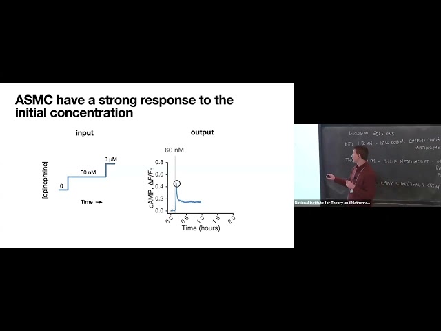 Design principles of endocrine signaling in space and time | Mark Greenwood