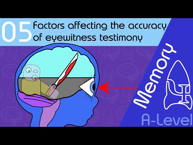 Factors affecting the accuracy of eyewitness testimony [AQA ALevel]