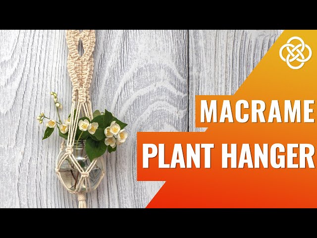 Macrame plant hanger  diy | Macrame diy | Short macrame plant hanger