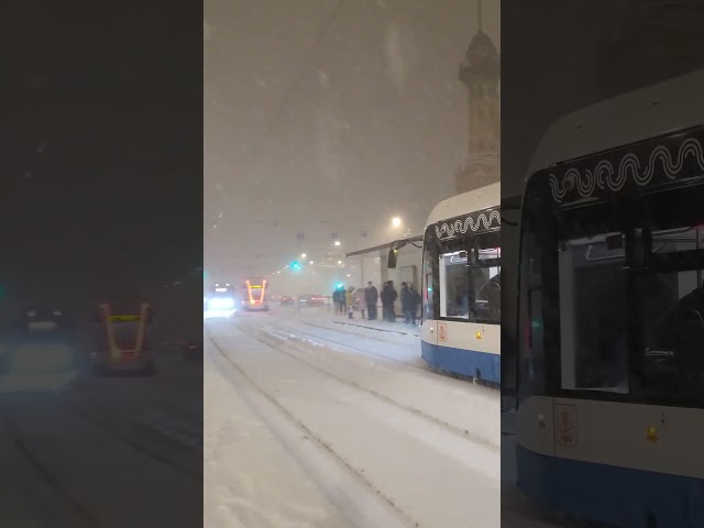 [2024] Moscow trams at snowfall