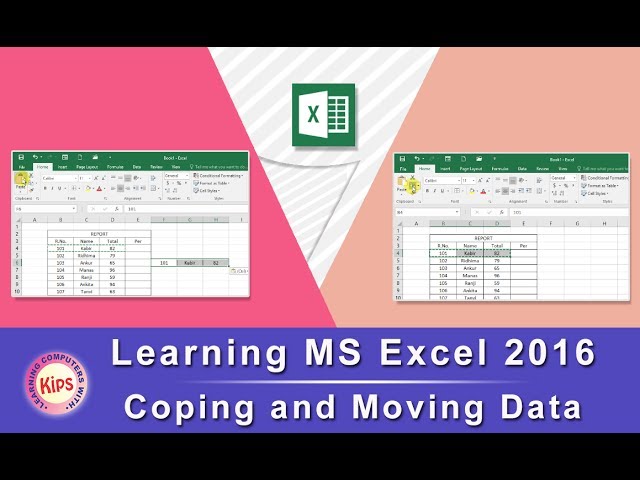 Learning MS Excel 2016: Coping and Moving Data