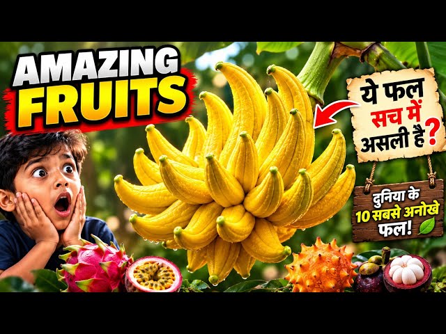 😱Amazing Fruits | ये फल आपने पहले कभी नहीं देखे होंगे! #rarefruits