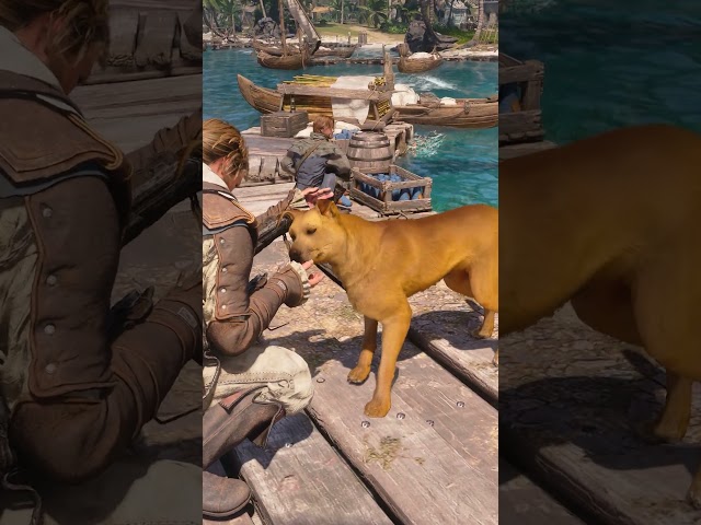 Petting Dog - Assassin's Creed Black Flag Resynced [4K 60FPS Max Settings] #turtle #assassin