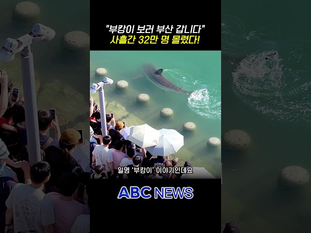 "Let's go see Buk-i"... 320,000 people flocked to Busan during the Chuseok holiday
