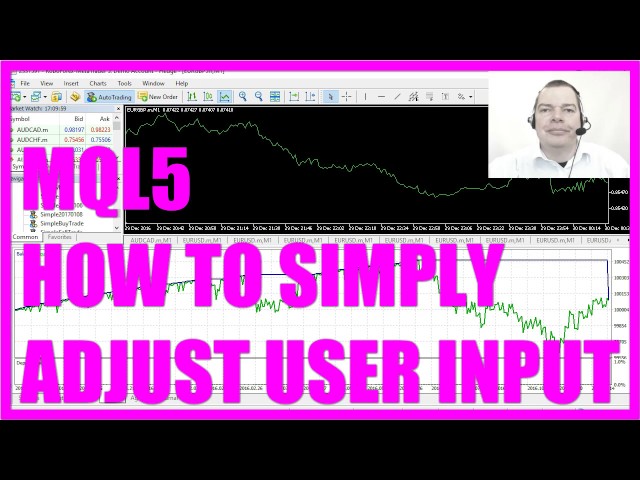 MQL5 Tutorial - How to simply adjust user input