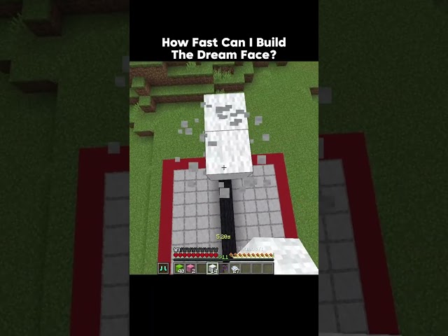 How Fast Can I Build The Dream Face #usa #minecraft