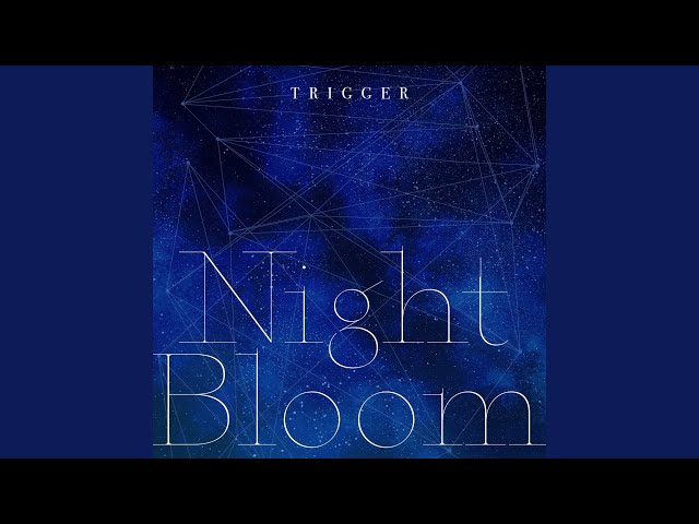 Night Bloom