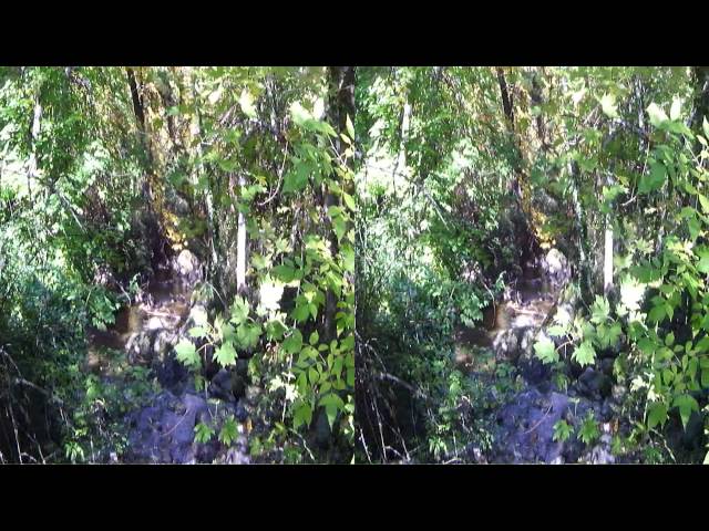 DSCF0274_1.WMV