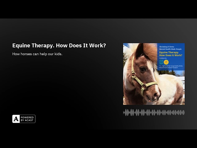 Equine Therapy. How Does It Work?