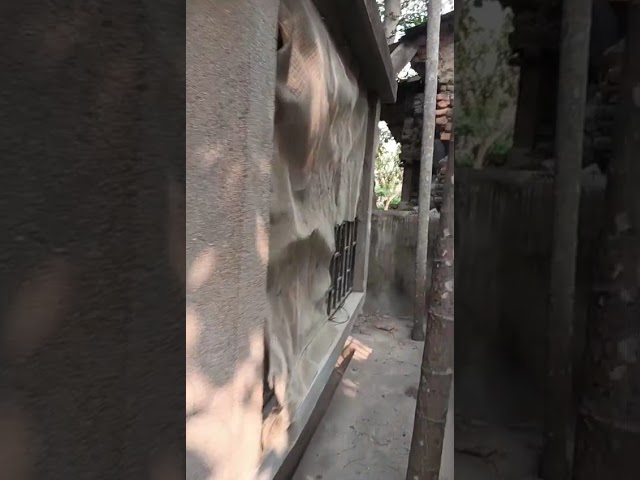 Selling House Introduction