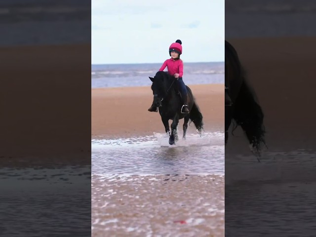 Wearing @Shires Equestrian 💓 #beachride #gallopinghorse #ponies #ponyfun